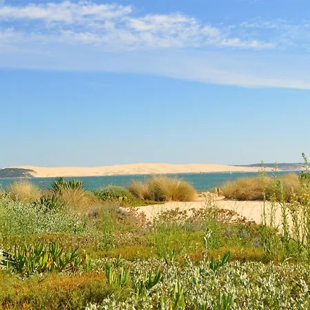 Maison De Bassin D'arcachon * Gujan-Mestras
